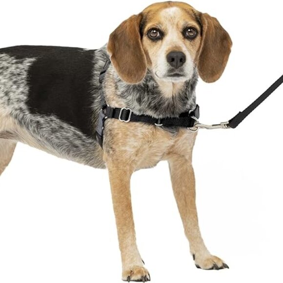 PetSafe~ Easy Walk No-Pull Dog Harness- Helps Prevent Pulling on Walks- MED- BLK - Picture 6 of 14